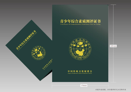 青少年综合素质测评证书